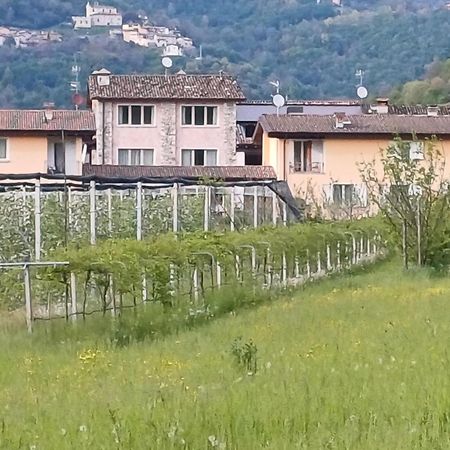 Villanuova sul clisiCascina Legnago Bilocale A 6 Chilometri Da Salo'アパートメント エクステリア 写真