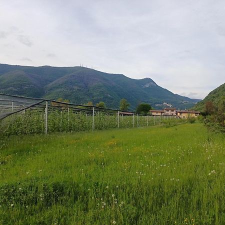 Villanuova sul clisiCascina Legnago Bilocale A 6 Chilometri Da Salo'アパートメント エクステリア 写真