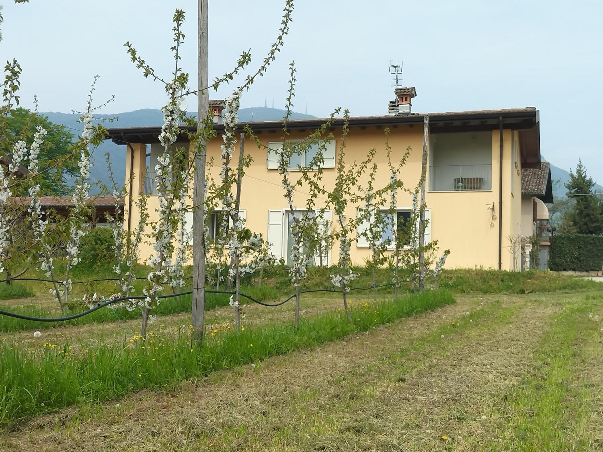Villanuova sul clisiCascina Legnago Bilocale A 6 Chilometri Da Salo'アパートメント エクステリア 写真