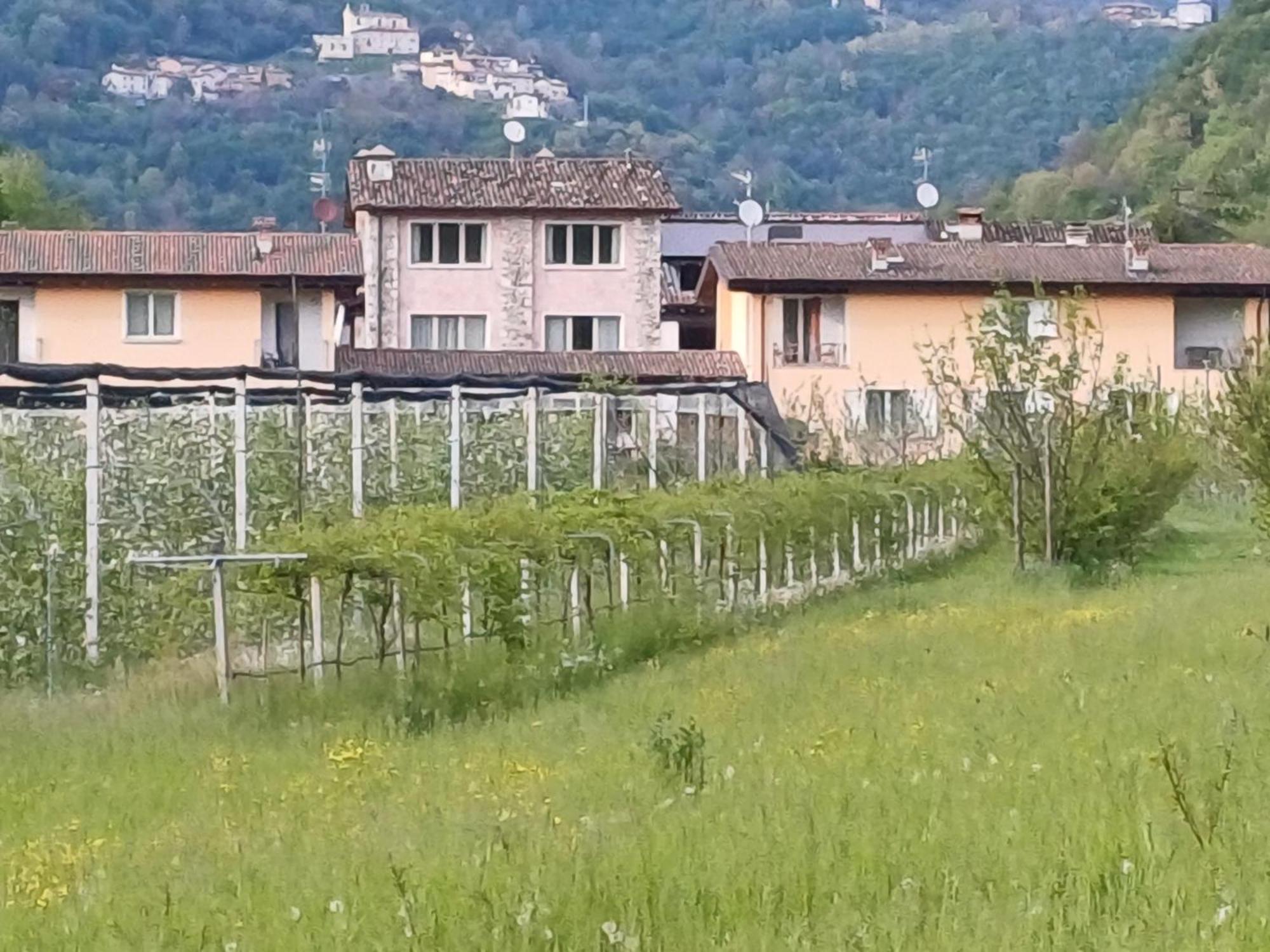 Villanuova sul clisiCascina Legnago Bilocale A 6 Chilometri Da Salo'アパートメント エクステリア 写真