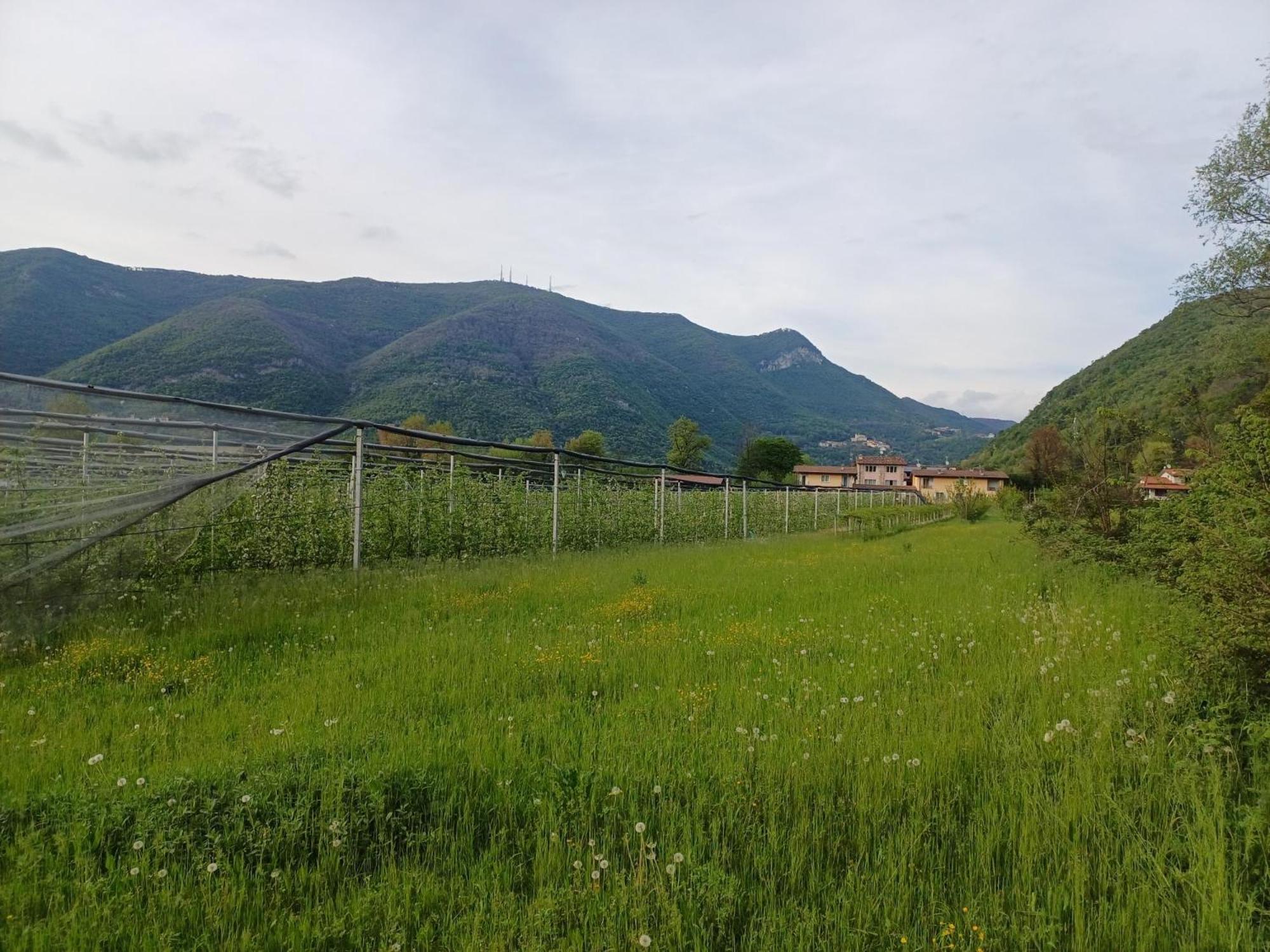Villanuova sul clisiCascina Legnago Bilocale A 6 Chilometri Da Salo'アパートメント エクステリア 写真